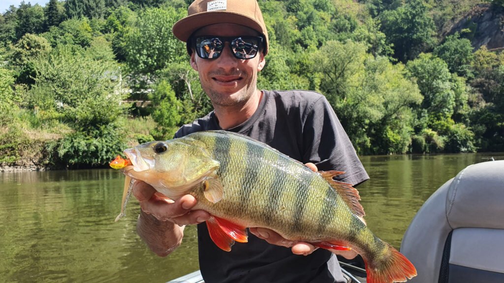 20220823 145622 20220823 145622